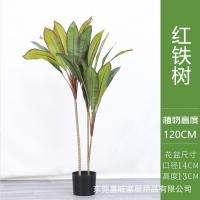 XU0612921